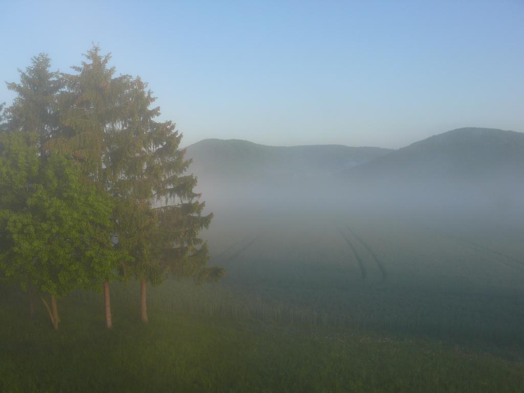 Waldhotel Dornroeschenshoeh Hemfurth-Edersee Buitenkant foto